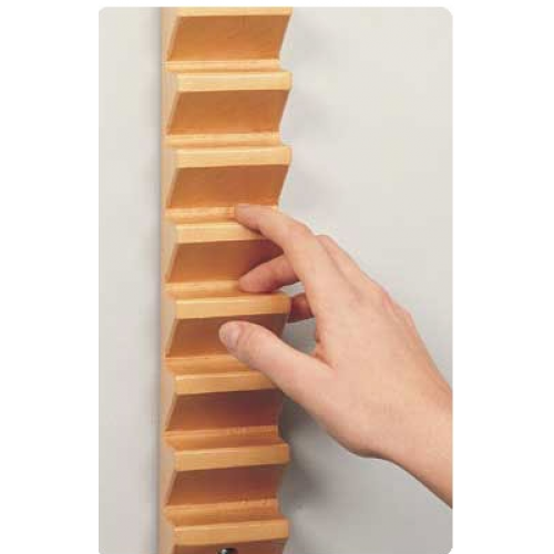 Shoulder/Finger Ladder